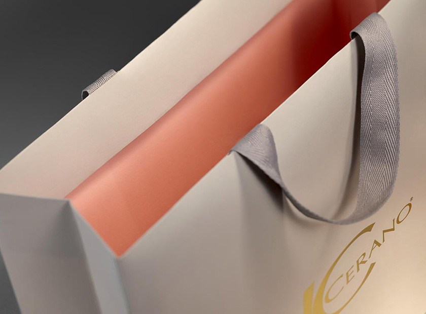 Printed paper bag with adhered ribbons without knots