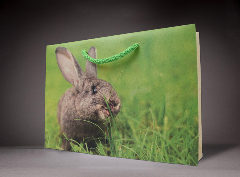 Environmentally friendly printed paper bag made from gras paper, Hase motif